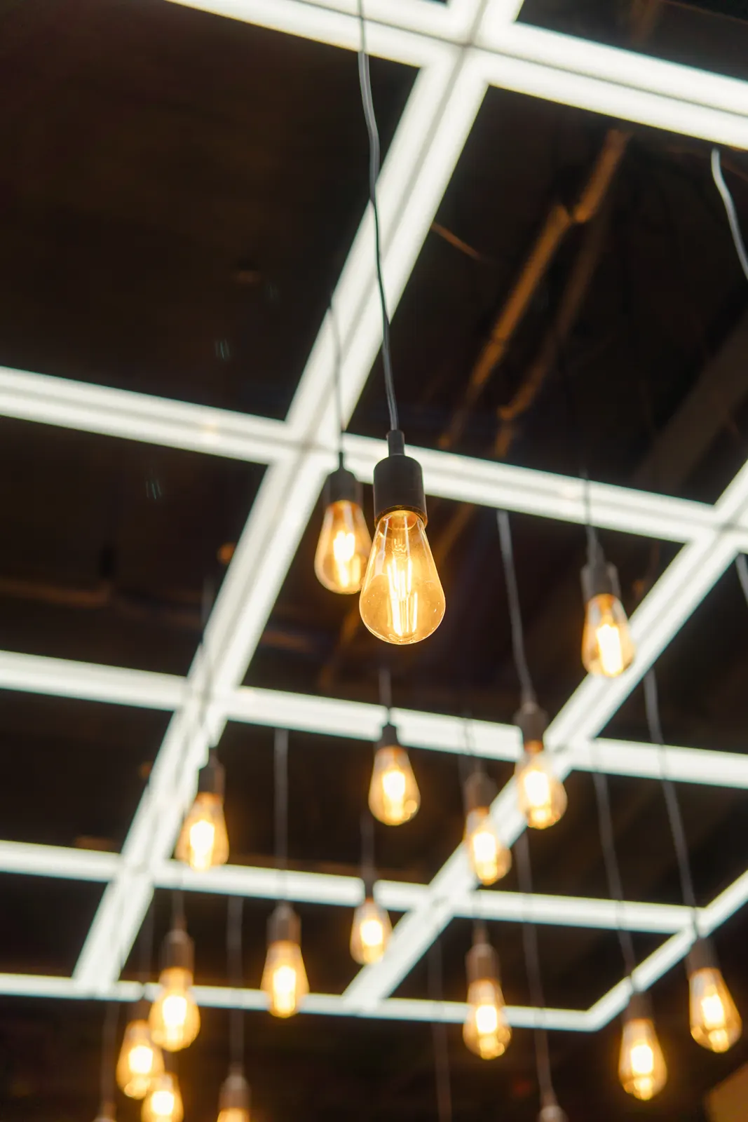 Filament bulbs strung above the office floor